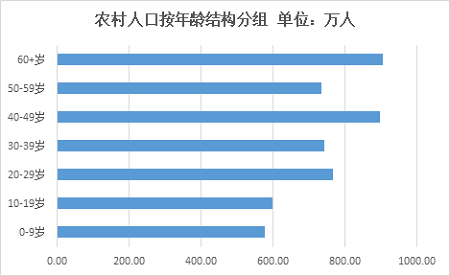 湖南农村人口结构现状和变迁分析第三次农业普查数据专项分析