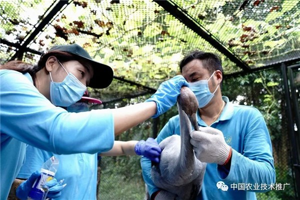 上海野生動(dòng)物園有哪些動(dòng)物_游客談上海野生動(dòng)物園經(jīng)歷_杭州野生動(dòng)物世界 年均游客