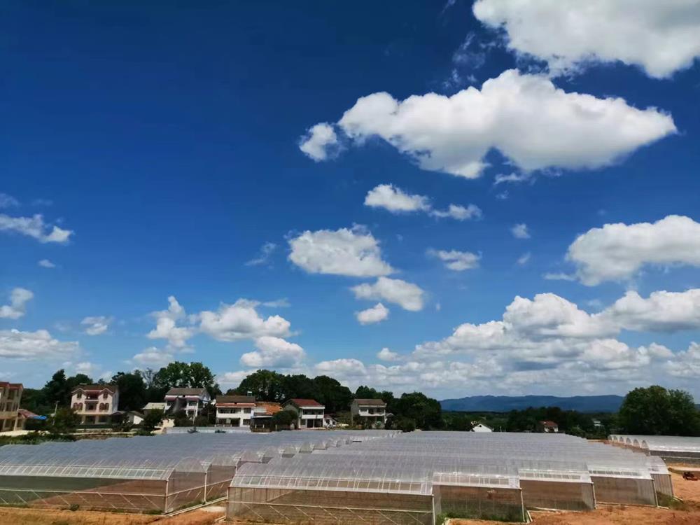 4243da1fc7574e9ba6324b1b00bccee1.jpg 4243da1fc7574e9ba6324b1b00bccee1.jpg