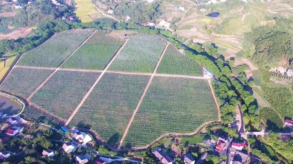 6275e419722b4d2a882802eb7897f0a0.jpg 6275e419722b4d2a882802eb7897f0a0.jpg