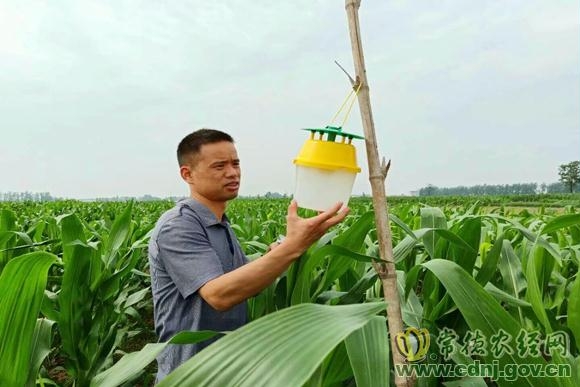 谢迪军 2_副本.jpg