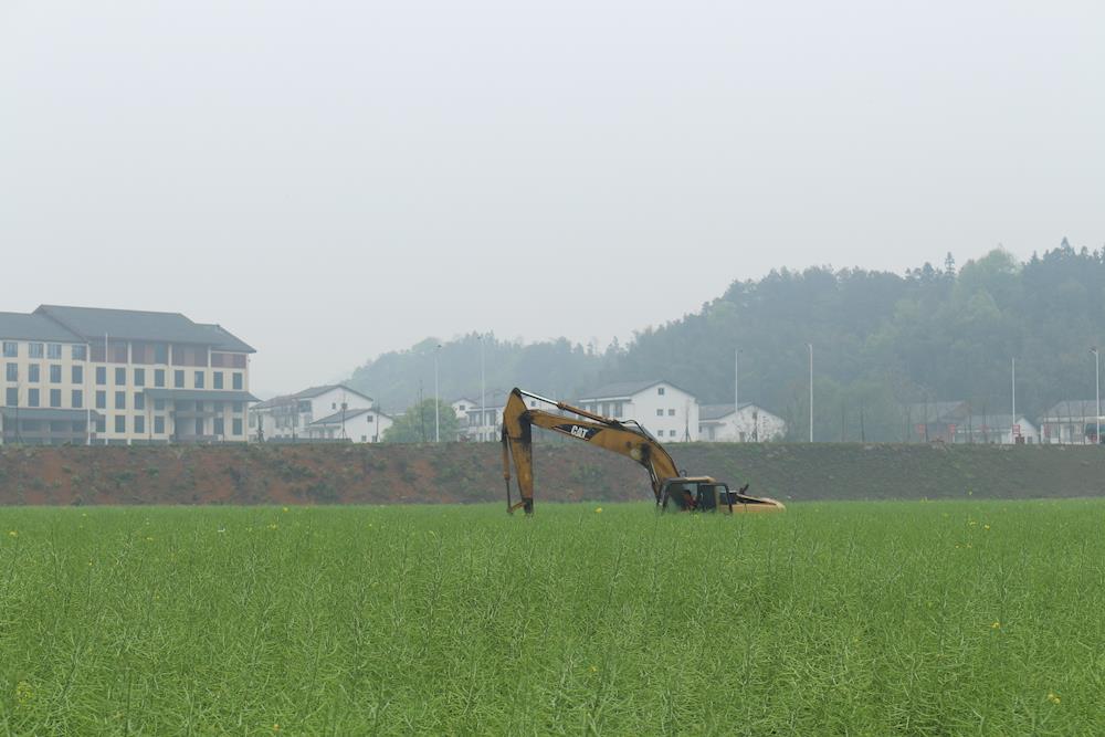 1cec9ceb4d1842b084acd21ed79d269a.jpg 1cec9ceb4d1842b084acd21ed79d269a.jpg