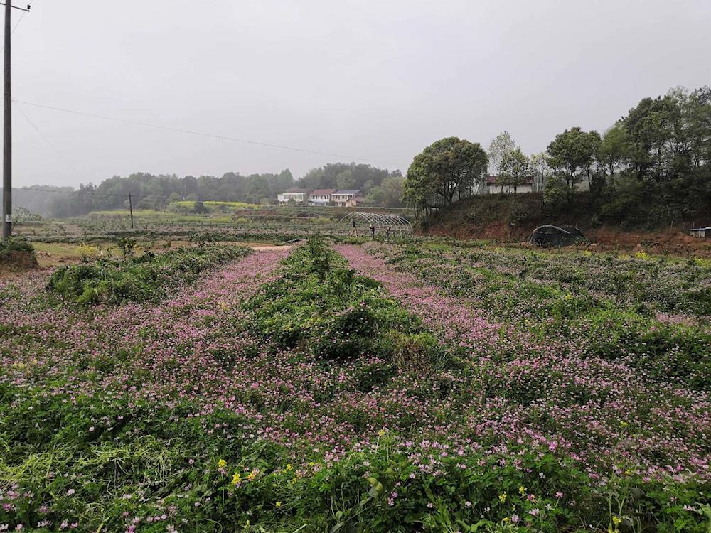 04f5032434bf4508b88f5c3fbcd96dca.jpg 04f5032434bf4508b88f5c3fbcd96dca.jpg