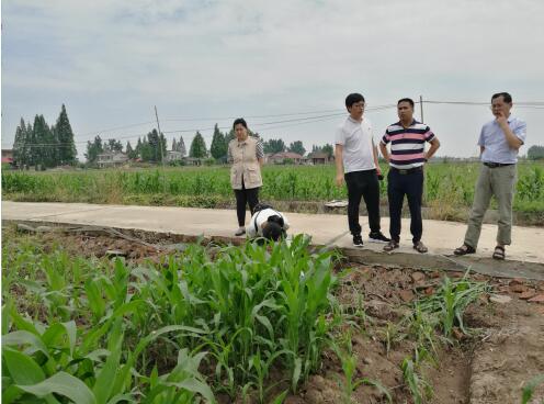 http://www.hnagri.gov.cn/cms/siteResource/upload/site1/uploadfiles/202005/20200525082210645.jpg