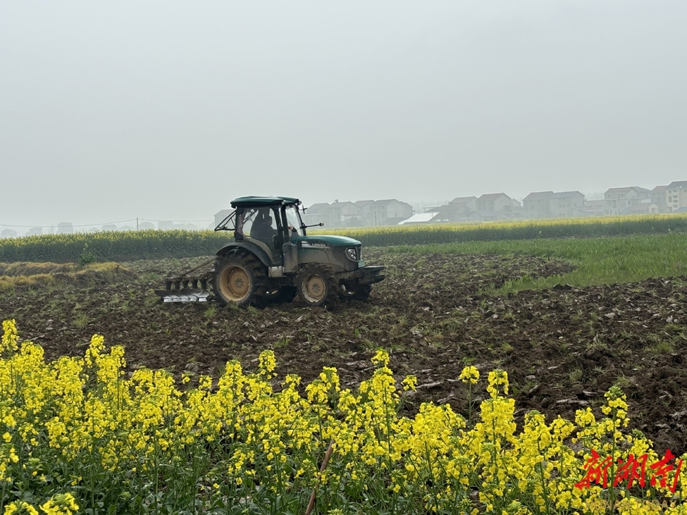 06d05e873a26c8901ef4c7ab8c8cfc0673a327631742193942810