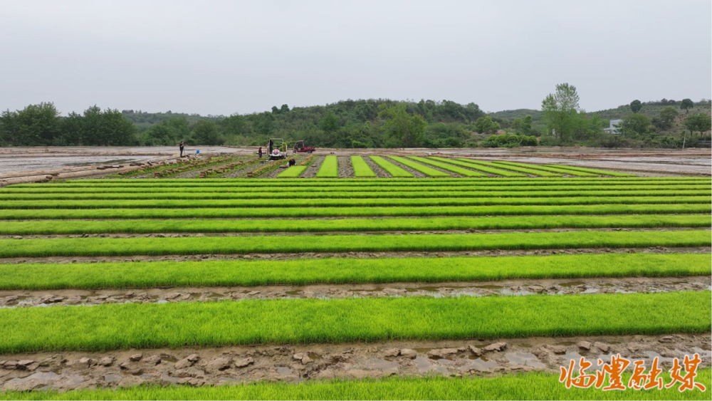 23e8c769-9f47-40d5-afe1-73a6ce37c102