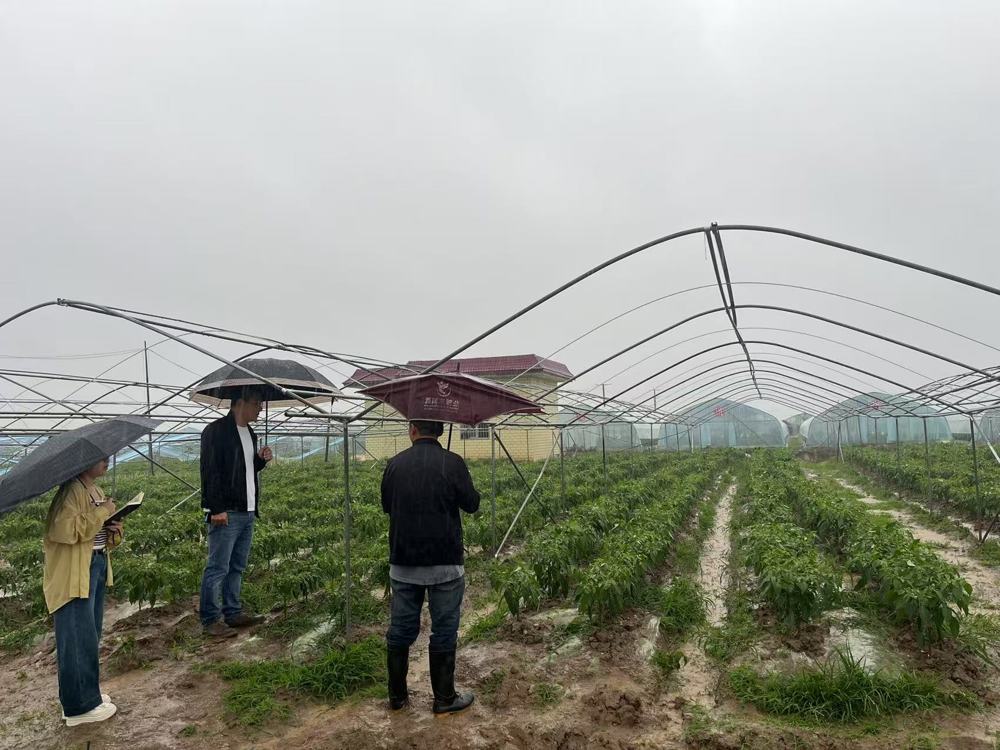 微信图片_20250508153039