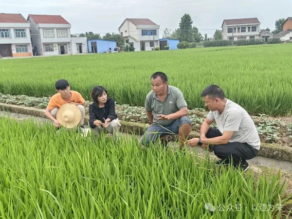 微信图片_20250604110152