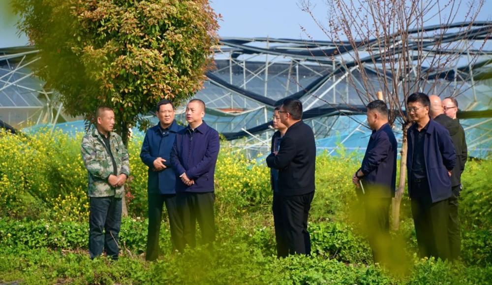 8bd0718d8e5242a19627de1bf1e84903.jpg 8bd0718d8e5242a19627de1bf1e84903.jpg