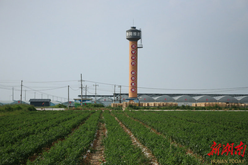 e88a732b4b468f7d9d3a5782d378ffbf_c84ff04eb3b4d8298344b41238f3a37c13fd3a651756684295560_pid=29191262