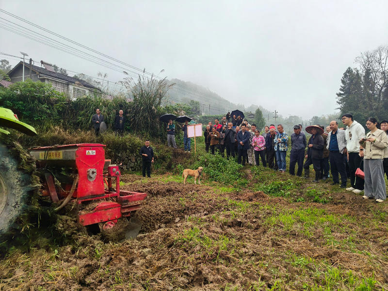 2c28e0015ba6a537d4efb774be9213ca