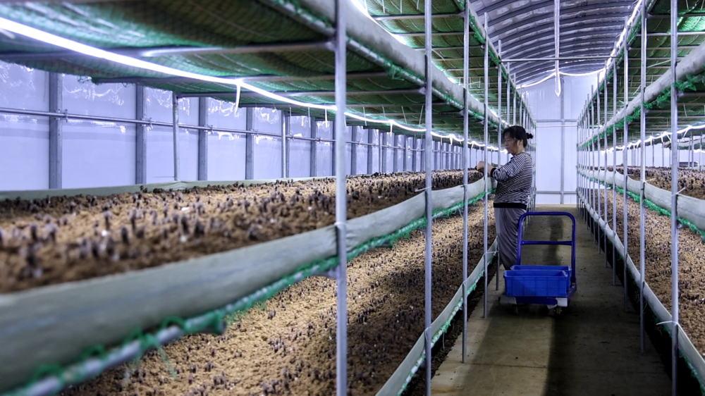 微信图片_2025-10-17_085018_828