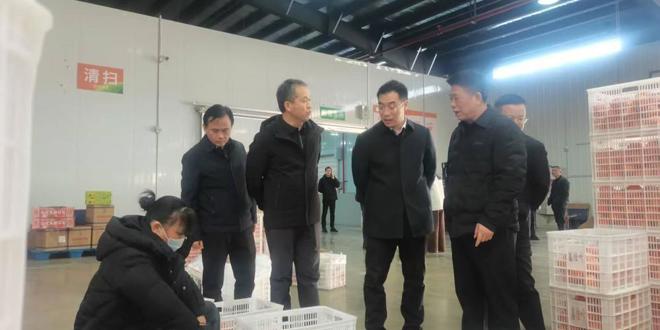 常德市领导赴澧县调研水利工程建设与农业产业发展情况