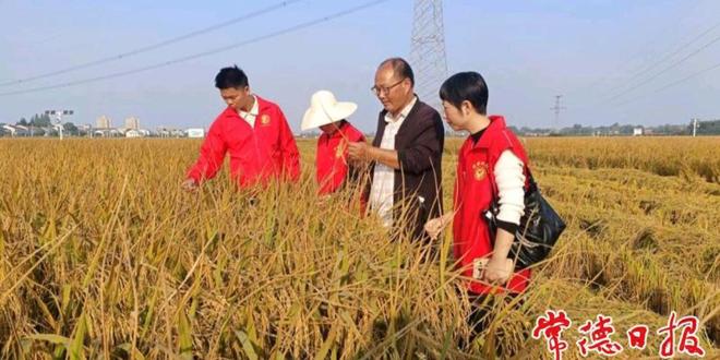 常德市农科院“农科专家沅澧行”志愿服务团获评省级“三下乡”活动优秀团队