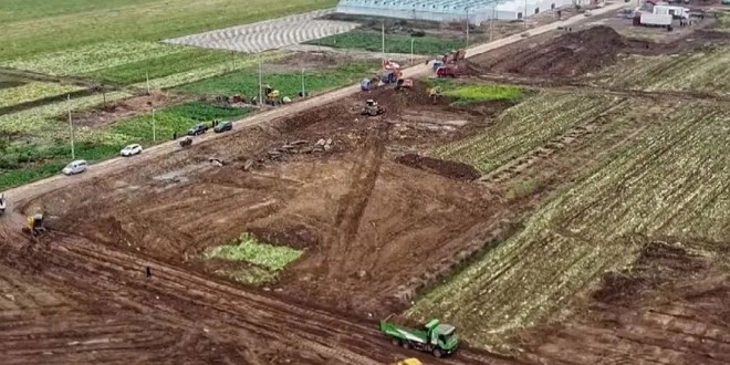 常德试点“耕地置换改革” 让每块地都“各司其职”