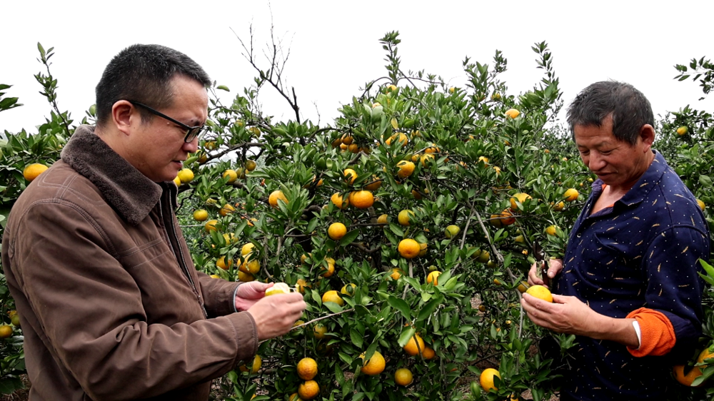 微信图片_2026-02-13_100023_362