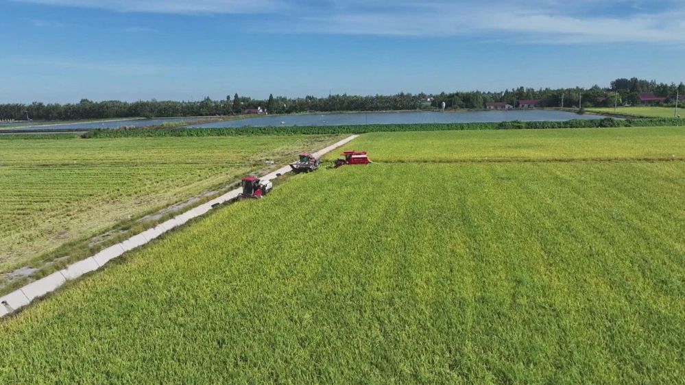 微信图片_2026-02-24_152300_058