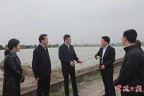 罗毅君赴桃源县调研