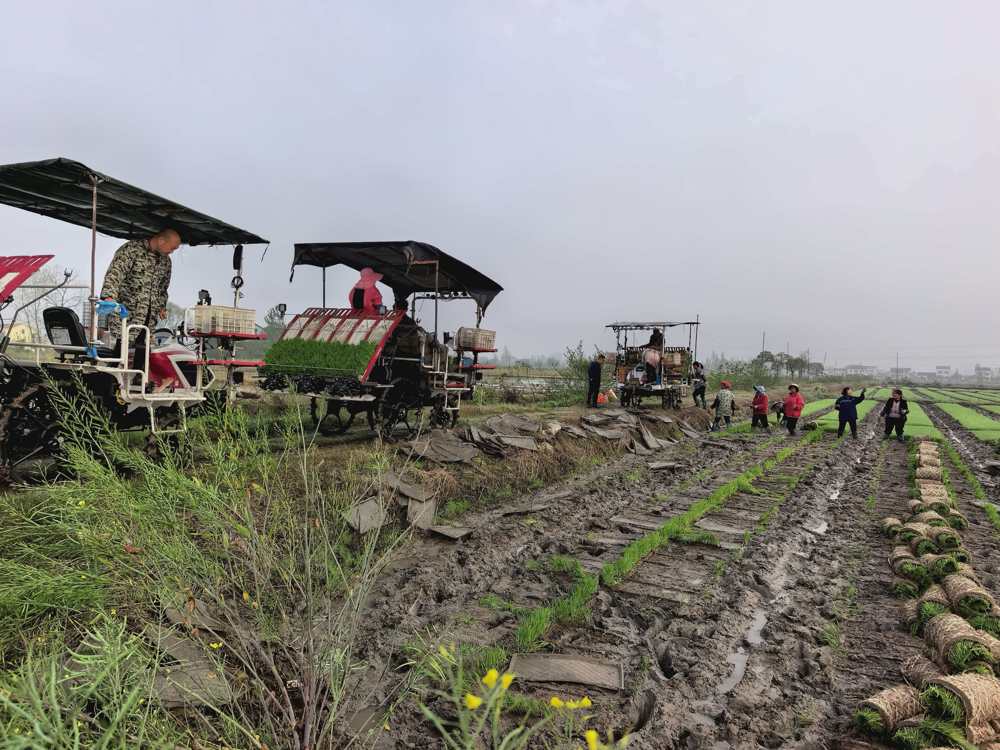 微信图片_20260414101828_212_7