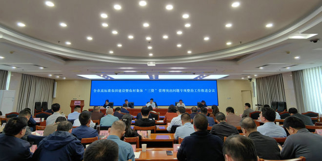 全市高标准农田建设暨农村集体“三资”管理专项整治工作推进会召开