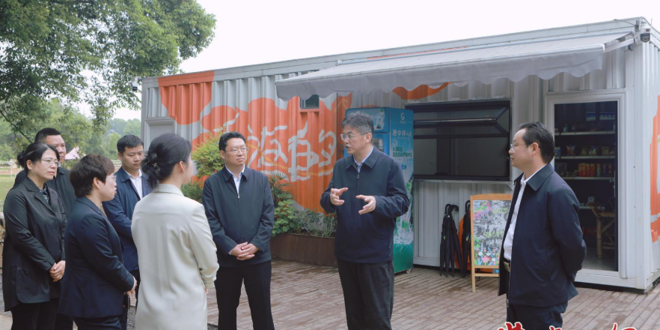 罗毅君在鼎城区调研港中坪片区建设、市场主体培育工作