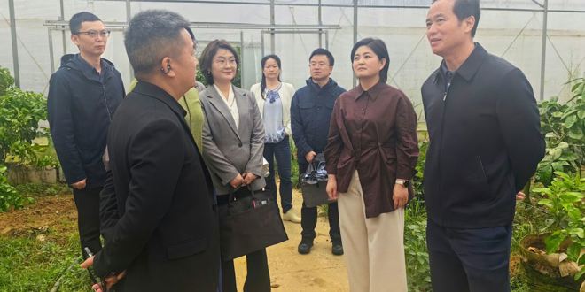 省农广校专题调研常德乡村职业经理人培育工作  赋能乡村振兴“领头雁”