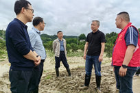 闻“汛”而动战洪涝，田间地头助复产——市农业农村局全力开展灾后恢复工作