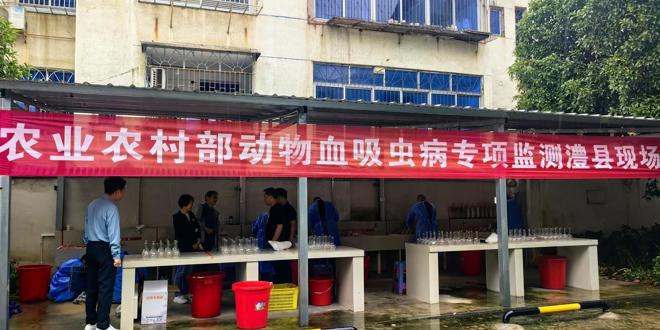 农业农村部专家组来常德开展家畜血吸虫病专项监测
