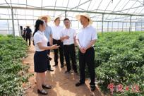 周振宇赴桃源县热市镇调研并讲授专题党课