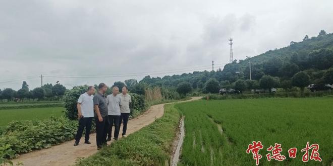 科技赋能绿色种植  农技下乡护航丰收——常德市农科院水稻湘北试验站团队指导津市药山镇有机水稻生产
