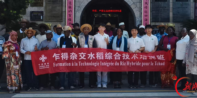以稻为桥 融通中外 山东农大学子在沅澧流域开展跨国农业研学交流