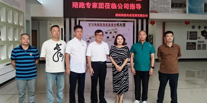 【常德市“菁英”工程】海福农业强链兴业  兴药富民