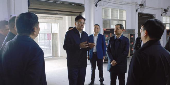 罗毅君在桃源县调研